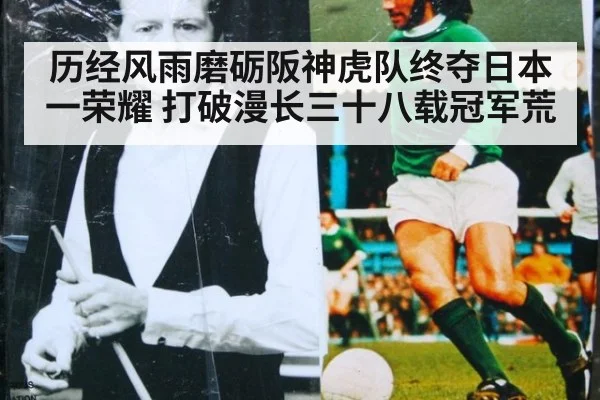 历经风雨磨砺阪神虎队终夺日本一荣耀 打破漫长三十八载冠军荒